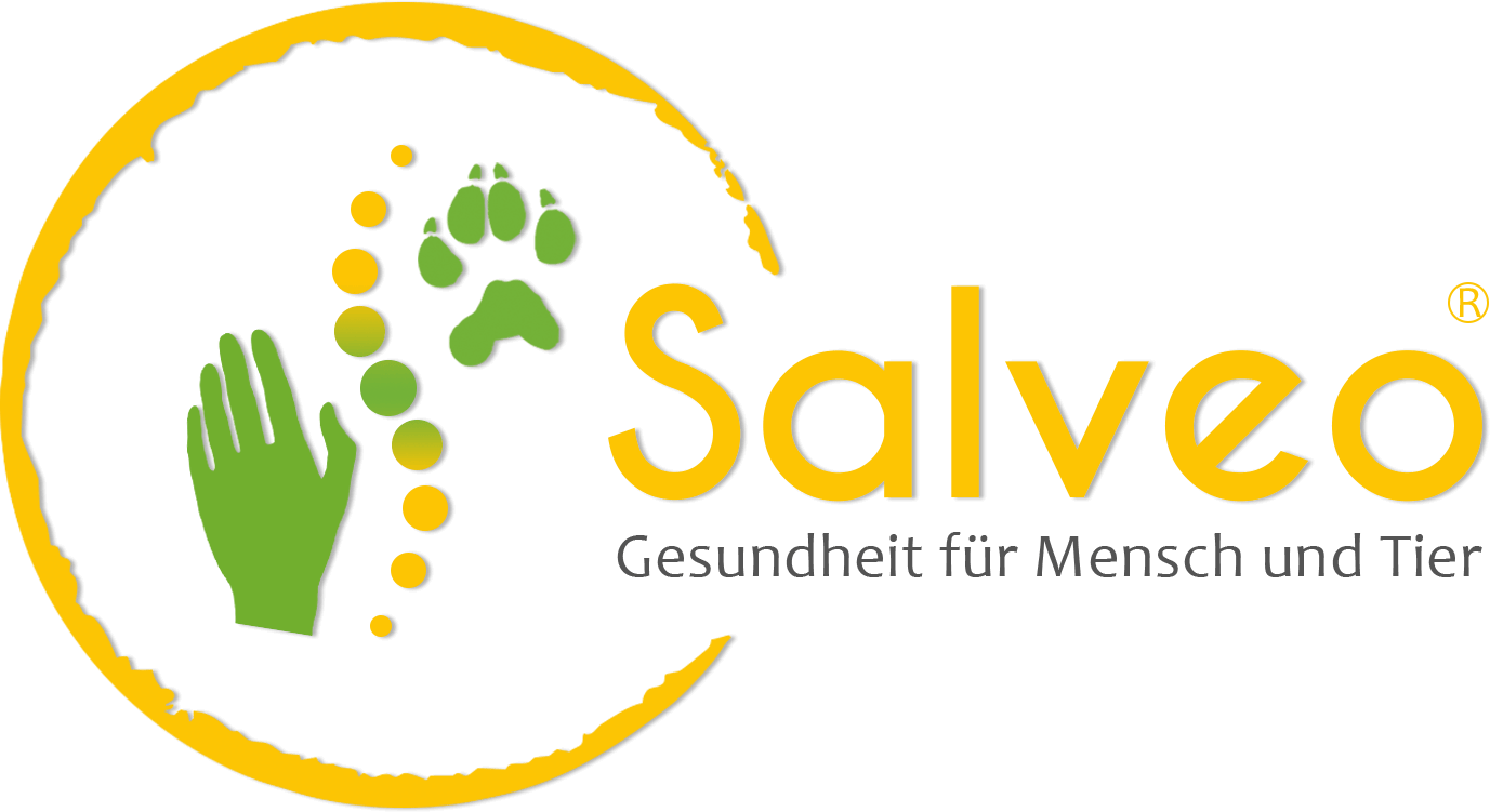 ‘Salveo – Gesund sein’ erhält sein neues Outfit